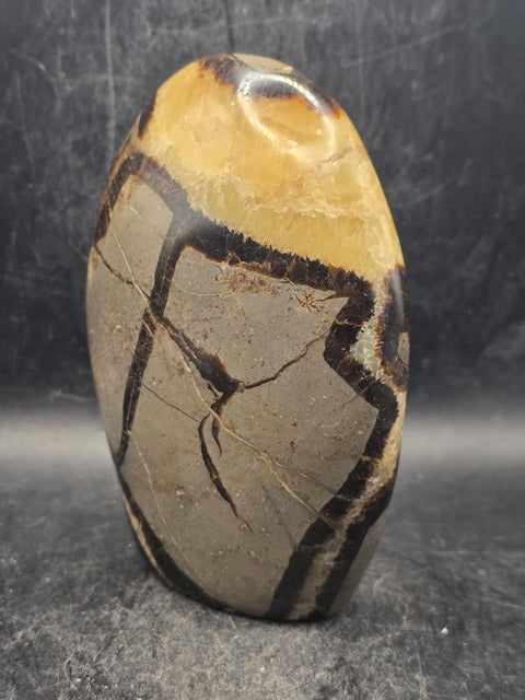 Septarian stone free form! 1.2 pounds, 4.3 inches tall, 3" wide!