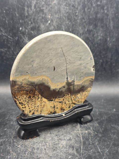 Natural picture jasper slab with stand! 5 ounces, 3.5 inches wide