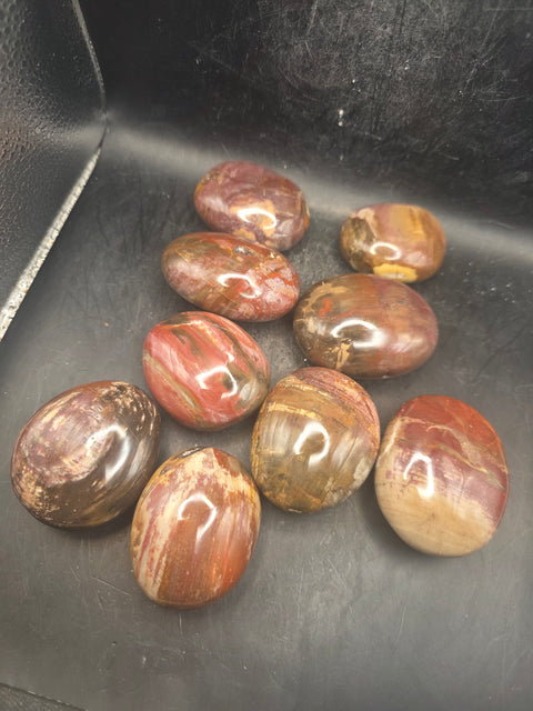 Petrified wood palm stone! 1.8 too 2.2 inches!