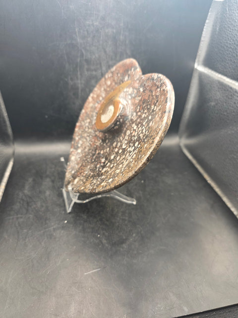 Ammonite fossil heart plate! 6 inches wide, 5.5 inches tall!