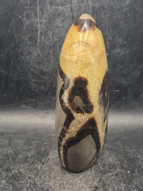 Septarian stone free form! 1.2 pounds, 4.3 inches tall, 3" wide!