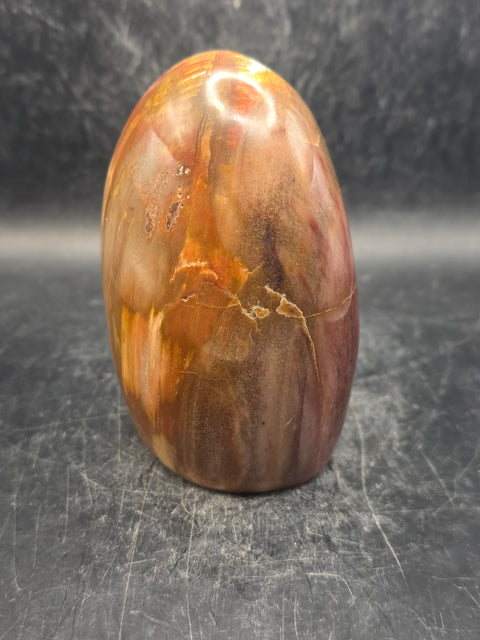 Petrified wood free form! 15.3 ounces, 3.4 inches tall, 2.3 wide