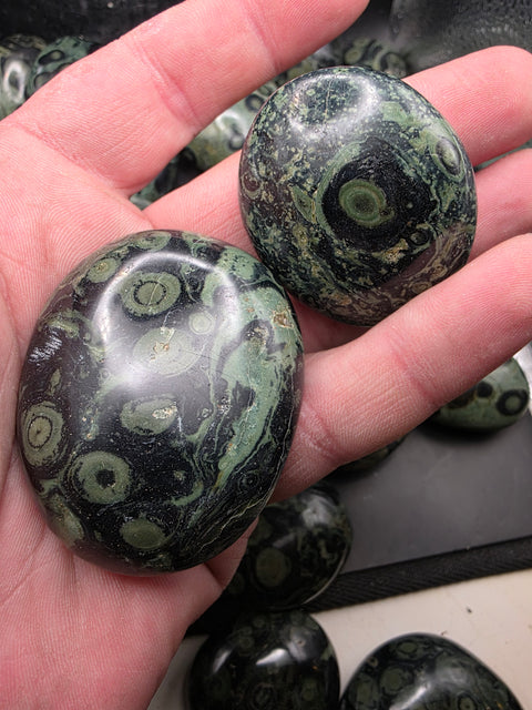 Kambaba Jasper palm stones! Set of 2! 1.6 to 2.6 inches!