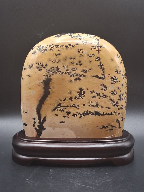 Picture jasper slab with stand! 4 by 4 inches, 1.3 pounds, 1.3" thick