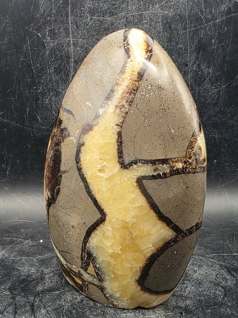 Septarian stone free form! 1.4 pounds!  4.5 inches tall, 3 inches wide