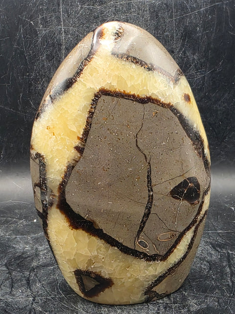 Septarian stone free form! 1.4 pounds!  4.5 inches tall, 3 inches wide