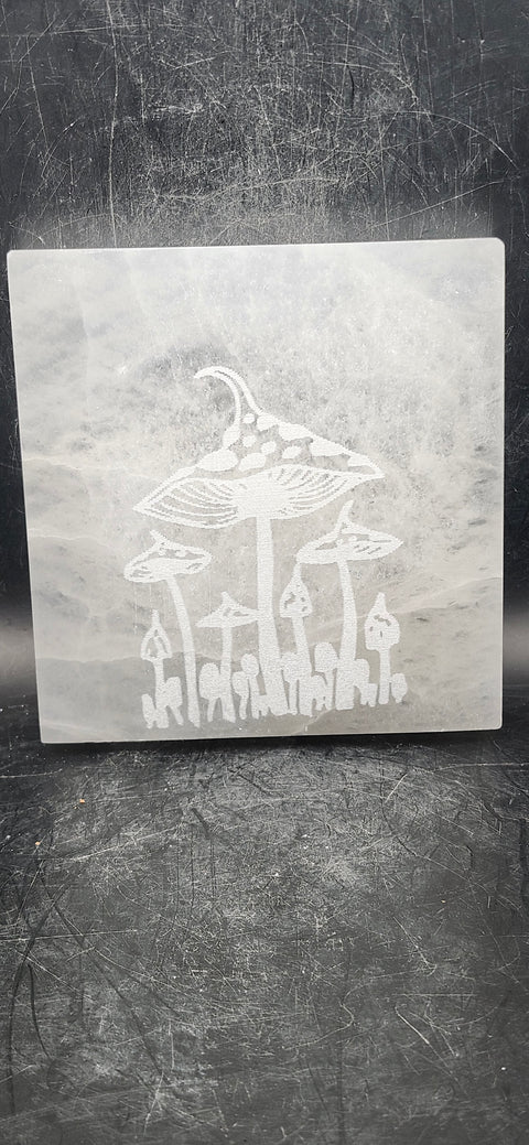Mushroom selenite charging plate! 12 ounces, 4 inches long!