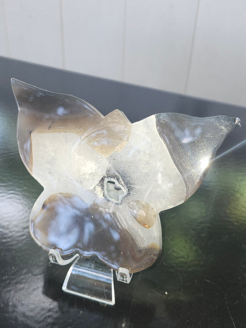 Druzy agate butterfly! 4.9 inches wide, 3.36 inches tall, 8 ounces