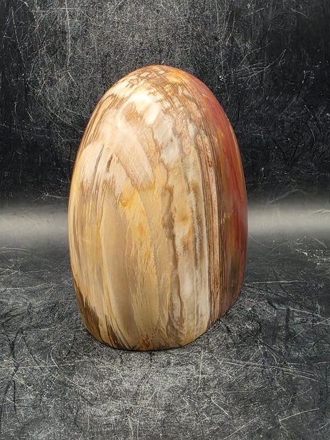 Petrified wood free form! 1.5 pounds, 3.4 inches tall, 3.1" wide