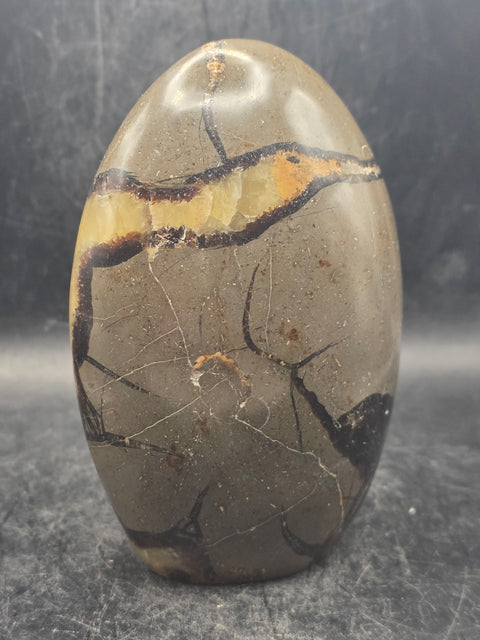 Septarian stone free form! 1.5 pounds, 4.2 inches tall, 3" wide!