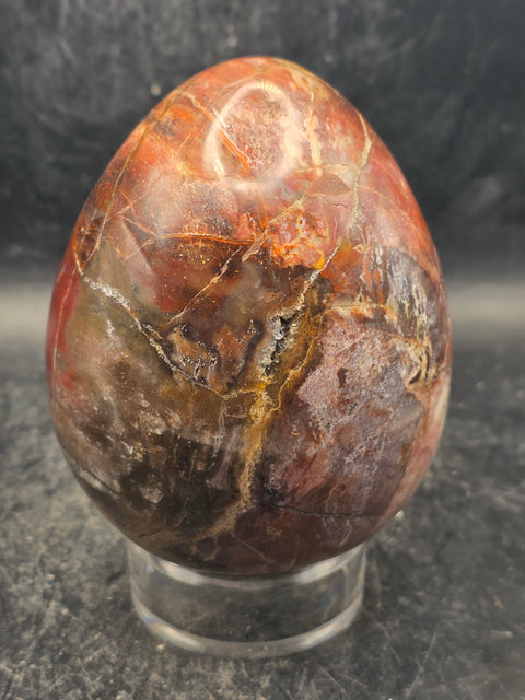 Petrified wood egg! 1.4 pounds, 3.5 inches tall, 2.7" wide!