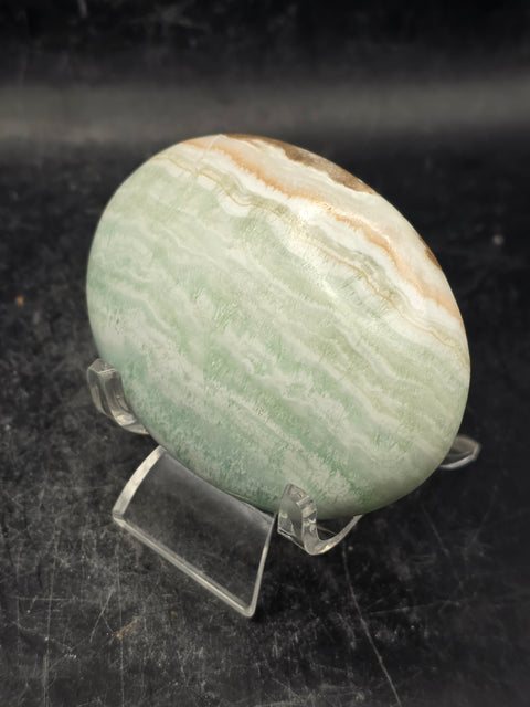 Caribbean calcite palm stone! 4.4 ounces, 2.7 inches long, 1.9" wide