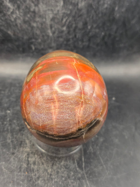 Petrified wood egg! 1.1 pounds, 3.4 inches tall, 2.5 wide