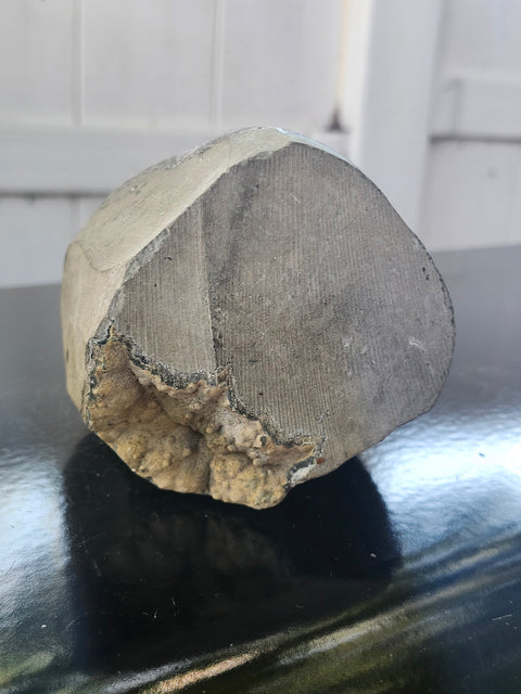 Amethyst cut base free form! 2.4 pounds, 4.7 inches tall 3.3 wide