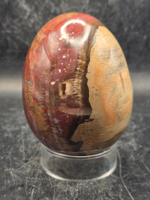 Petrified wood egg! 15 ounces, 3.1 inches tall, 2.4 inches wide!