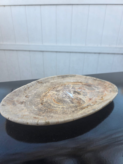 Large petrified wood plate! 11 inches long, 8 inches wide, 2.12 pounds!