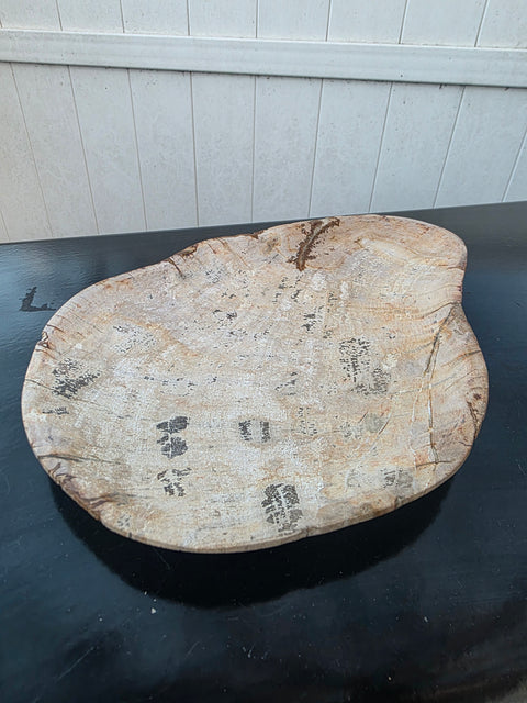 Small petrified wood plate! 9.5 inches by 7 inches, 1.5 pounds!
