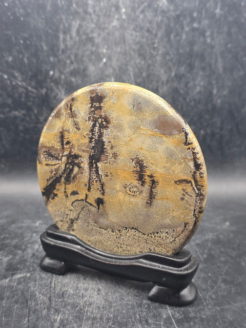 Natural picture jasper slab with stand! 4.6 ounces, 3.5 inches wide