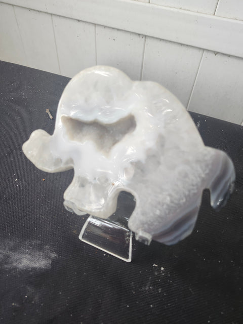 Druzy agate elephant 11 ounces, 5.5 inches wide, 4 inches tall