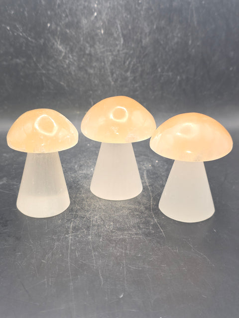 Small peach top selenite mushroom! 2.3 inches tall