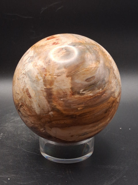 Large petrified wood sphere! 81mm, 3.1 inches, 1.8 pounds