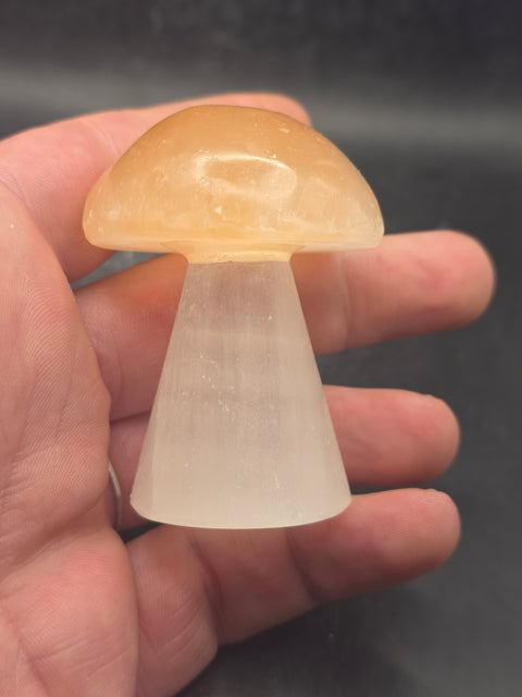 Small peach top selenite mushroom! 2.3 inches tall