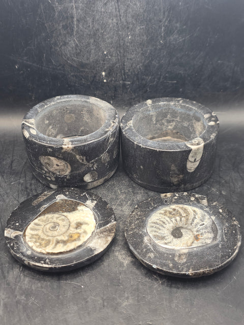 Medium round fossil box! 2.5 inches, 8.3 ounces!