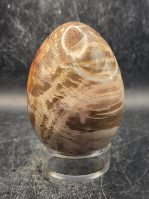 Petrified wood egg! 14.8 ounces, 3.2 inches tall, 2.3 inches wide
