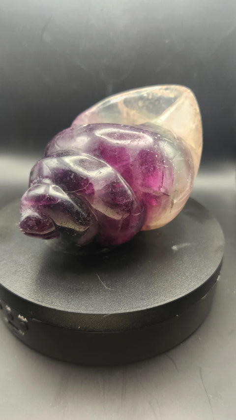 Florite conch shell offering bowl. 1.12 pounds, 4.6 inches long by 3.1 inches wide