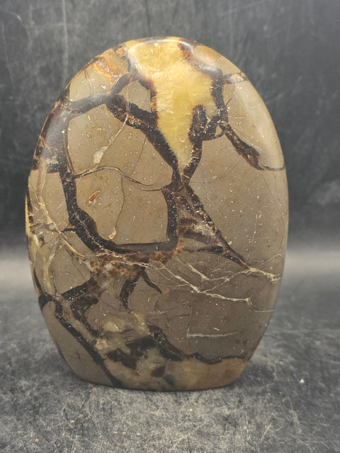 Septarian stone free form! 1.1 pounds, 4 inches tall, 3" wide