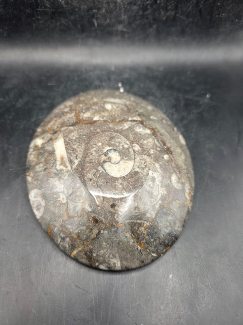 Oval orthoceras ammonite fossil dish! 5.9 ounces, 4.7 inches wide
