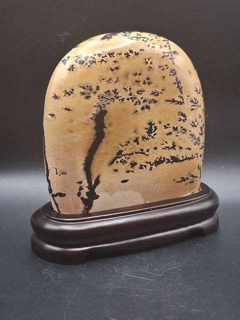 Picture jasper slab with stand! 4 by 4 inches, 1.3 pounds, 1.3" thick