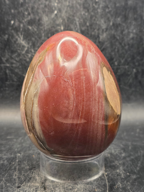 Petrified wood egg! 1.2 pounds, 3.3 inches tall, 2.6 inches wide