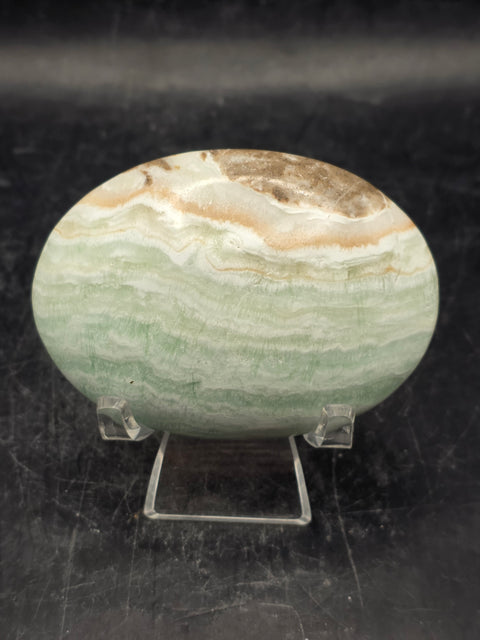 Caribbean calcite palm stone! 4.4 ounces, 2.7 inches long, 1.9" wide