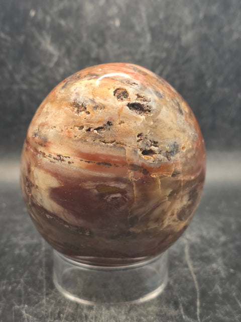 Petrified wood egg! 1.2 pounds, 3.3 inches tall, 2.6 inches wide