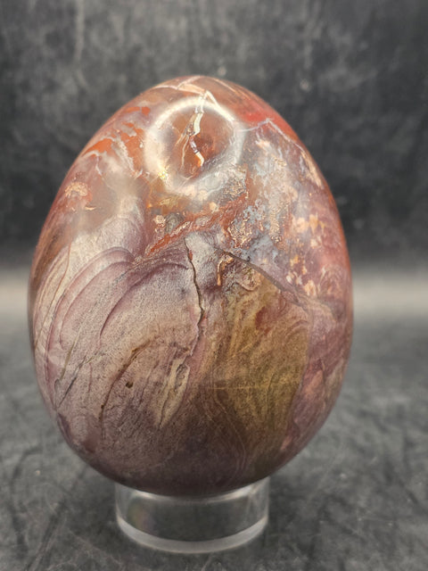 Petrified wood egg! 3.1 inches tall, 2.5 inches wide, 1 pound