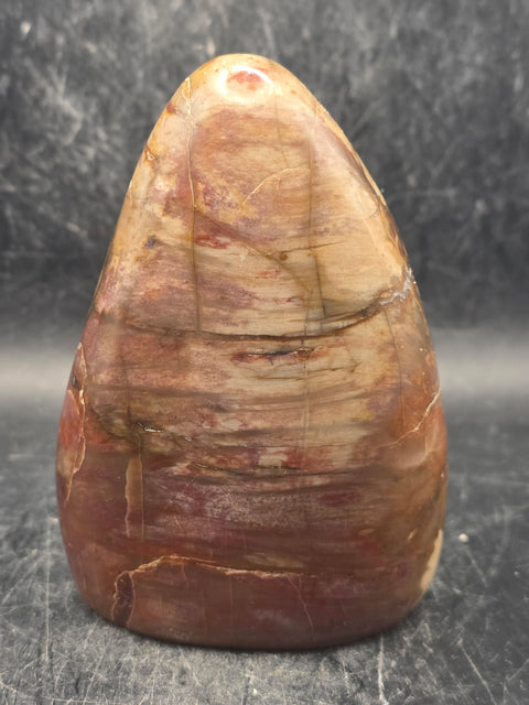 Petrified wood free form! 14.5 ounces, 3.9 inches tall, 2.7" wide