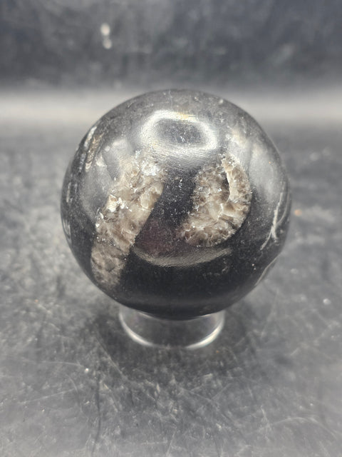 Orthoceras nautiloids sphere! 12 ounces 62.4mm, 2.4 inches wide