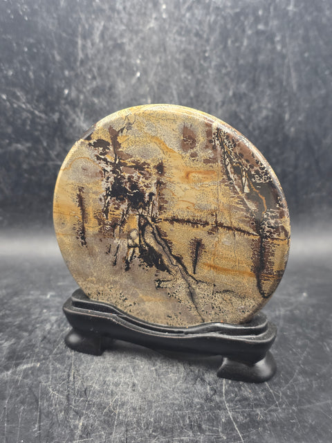 Natural picture jasper slab with stand! 4.6 ounces, 3.5 inches wide