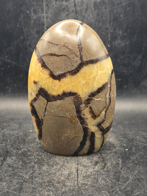 Septarian stone free form! 14 ounces, 4 inches tall, 2.6 inches wide
