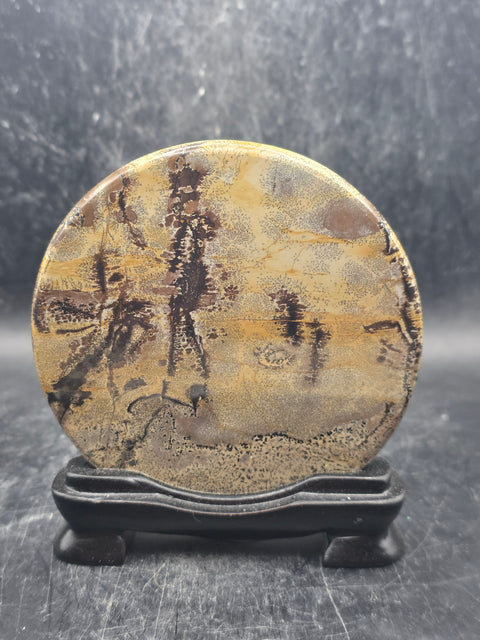 Natural picture jasper slab with stand! 4.6 ounces, 3.5 inches wide