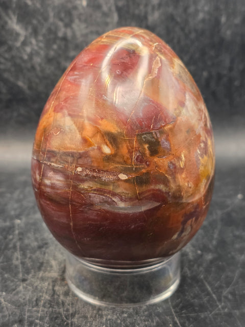 Petrified wood egg! 1.3 pounds, 3.4 inches tall, 2.6 inches wide!