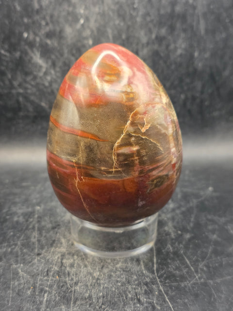 Petrified wood egg! 1.1 pounds, 3.4 inches tall, 2.5 wide