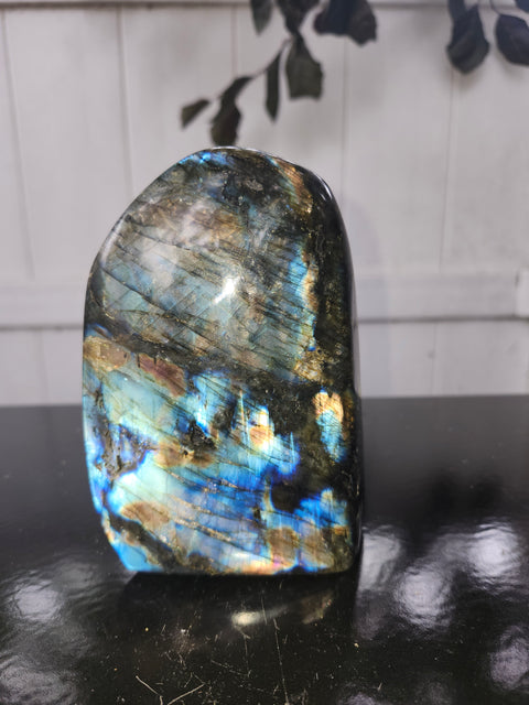 1.13 pound, 5 inch Labrodite free form