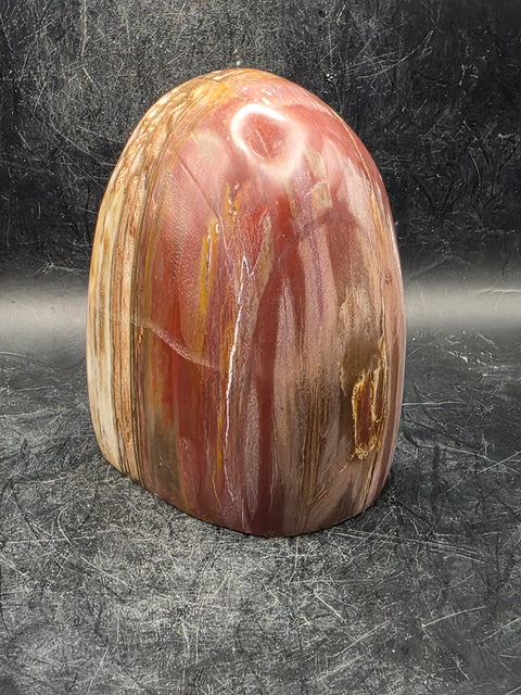 Petrified wood free form! 1.5 pounds, 3.4 inches tall, 3.1" wide