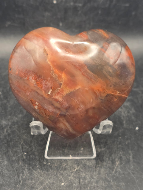 Petrified wood heart! 6.5 ounces, 2.7 inches wide, 2.5 inches tall