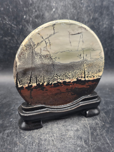 Natural picture jasper slab with stand! 5 ounces, 3.5 inches wide