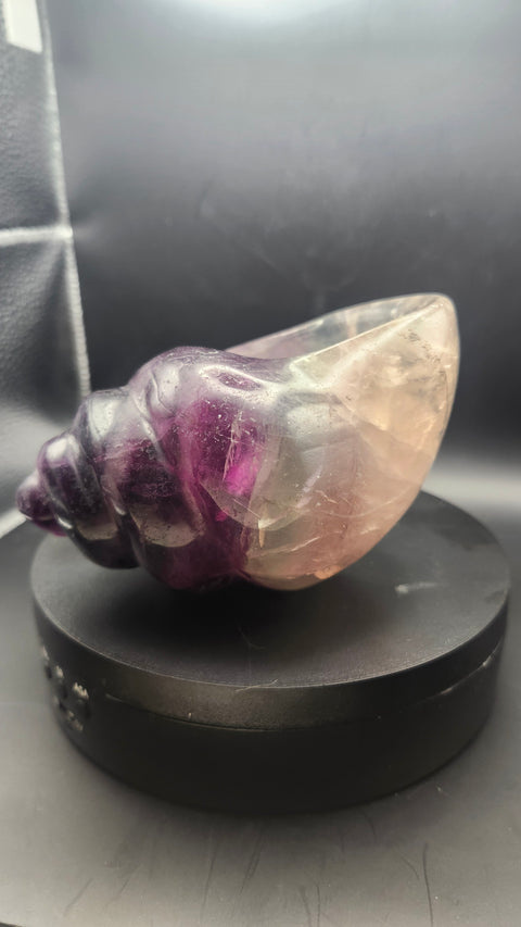 Florite conch shell offering bowl. 1.12 pounds, 4.6 inches long by 3.1 inches wide