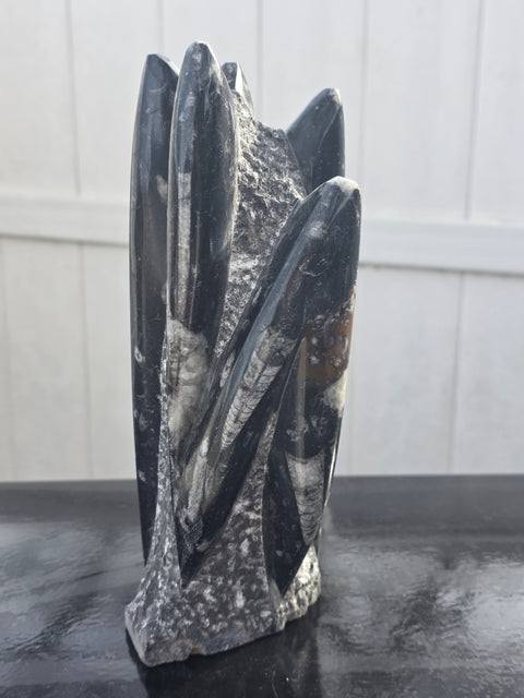 XL orthoceras limestone statue! 4.5 pounds, 9 inches tall, 3.3" wide