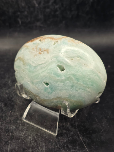 Caribbean calcite palm stone! 4.7 ounces 2.8 inches long, 2" wide